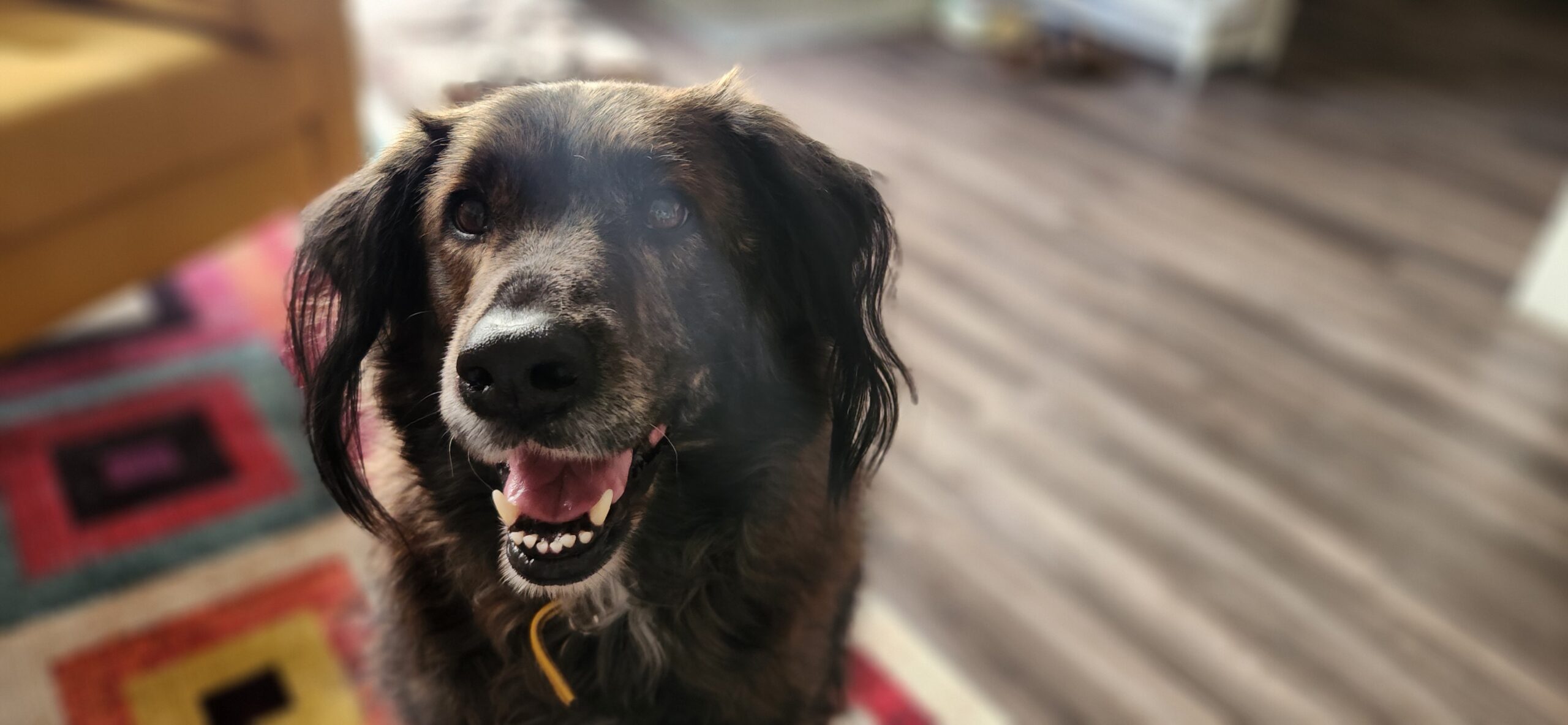 Xena